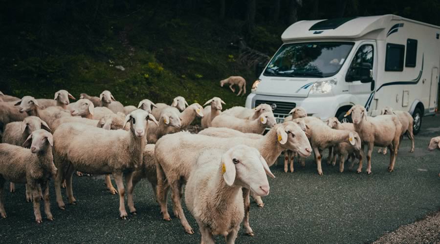 Caravaning Esguard - Blog - Temporada alta en autocaravana - Respecta l'entorn i la convivència